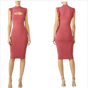 NWT Bailey 44 Pink Knee Length  Bodycon Knit Dresd